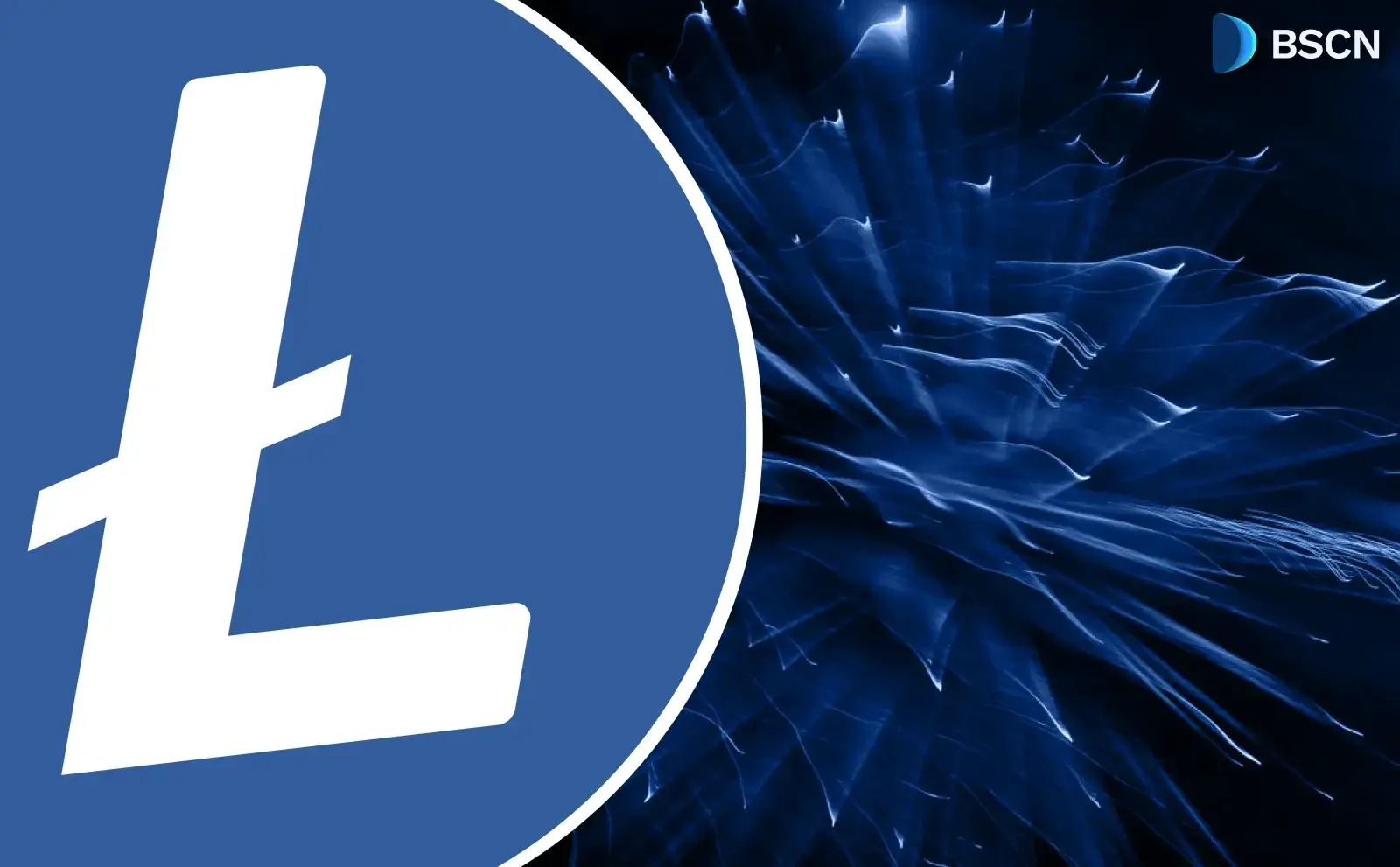 Insight: The State of Litecoin LTC in 2026