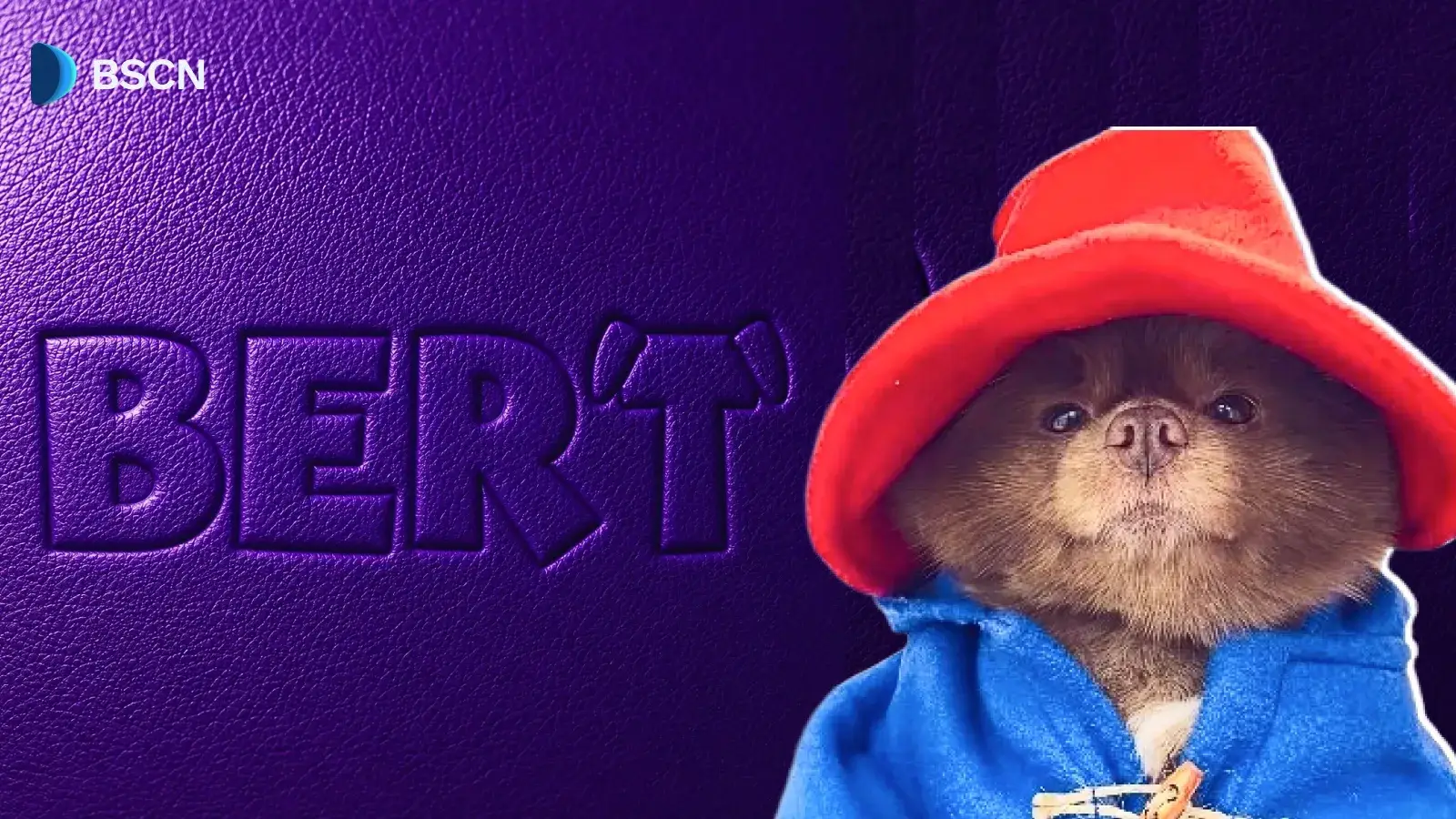 What is BERT Memecoin on Solana?