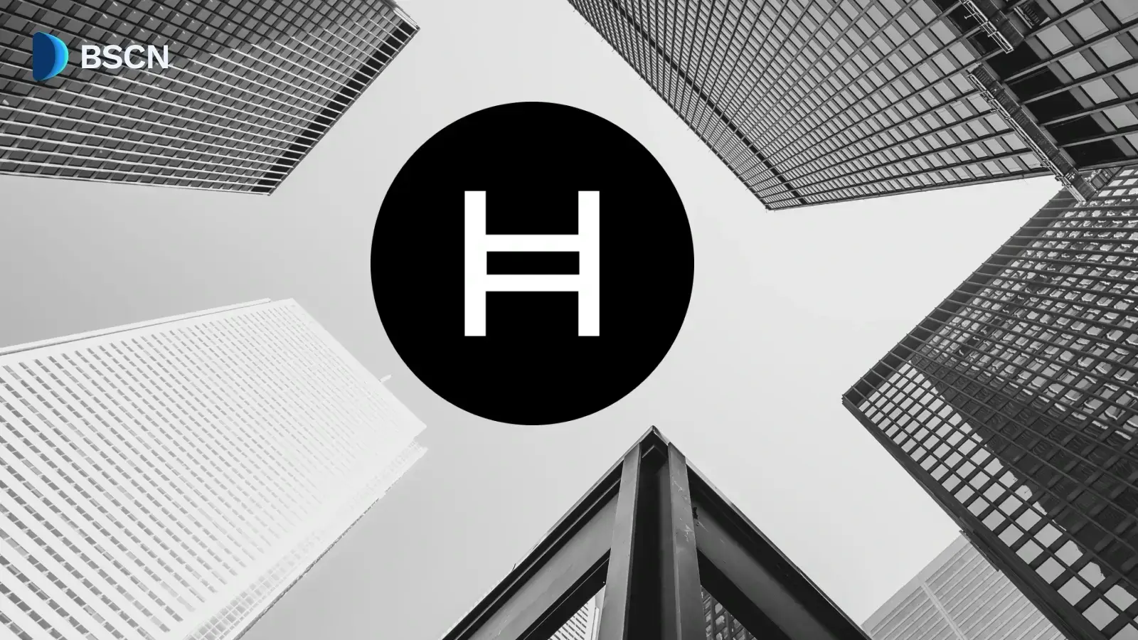 Why are Google, IBM, and Boeing Running Nodes Behind Hedera?