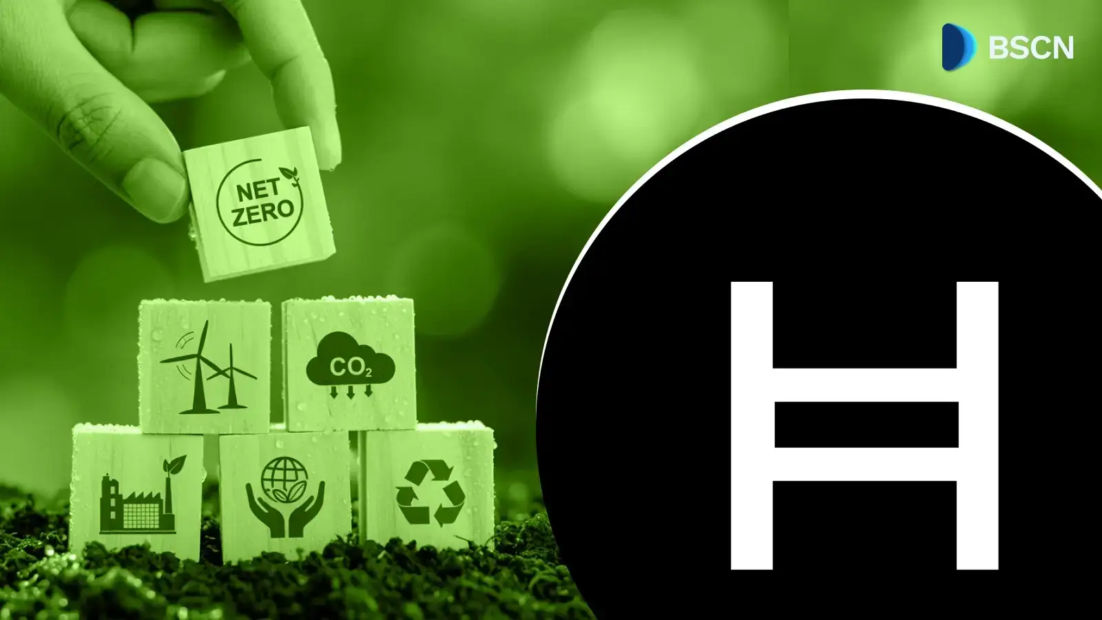 How Is Hedera Transforming Carbon Credits and Supply Chain Tracking? 