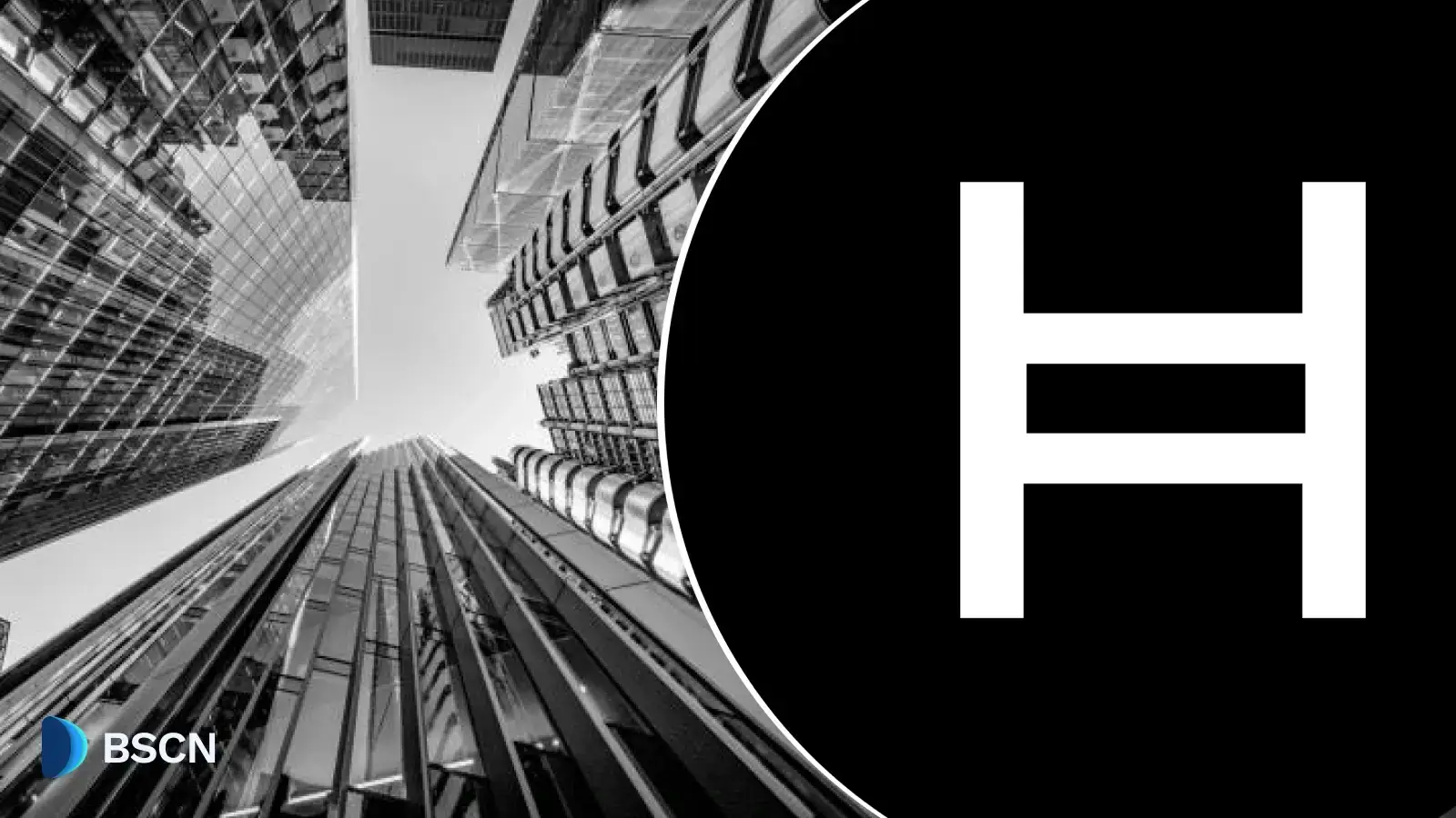 What Are the Real-World Hedera Use Cases?