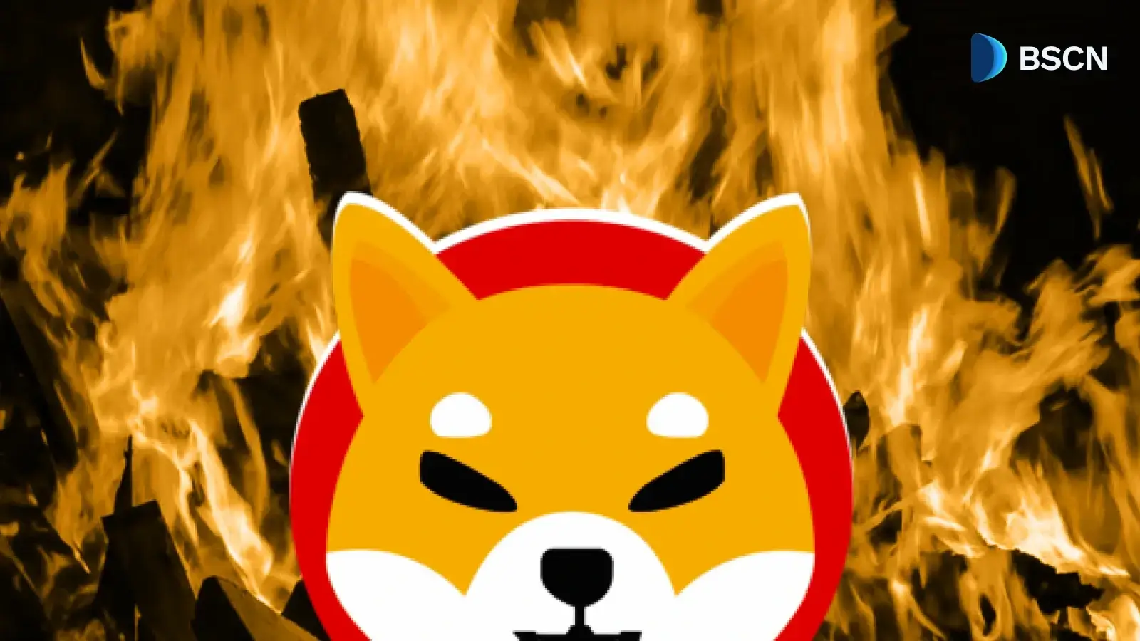 How Does SHIB's Massive Supply Make Its Burn Mechanism Feel Symbolic?