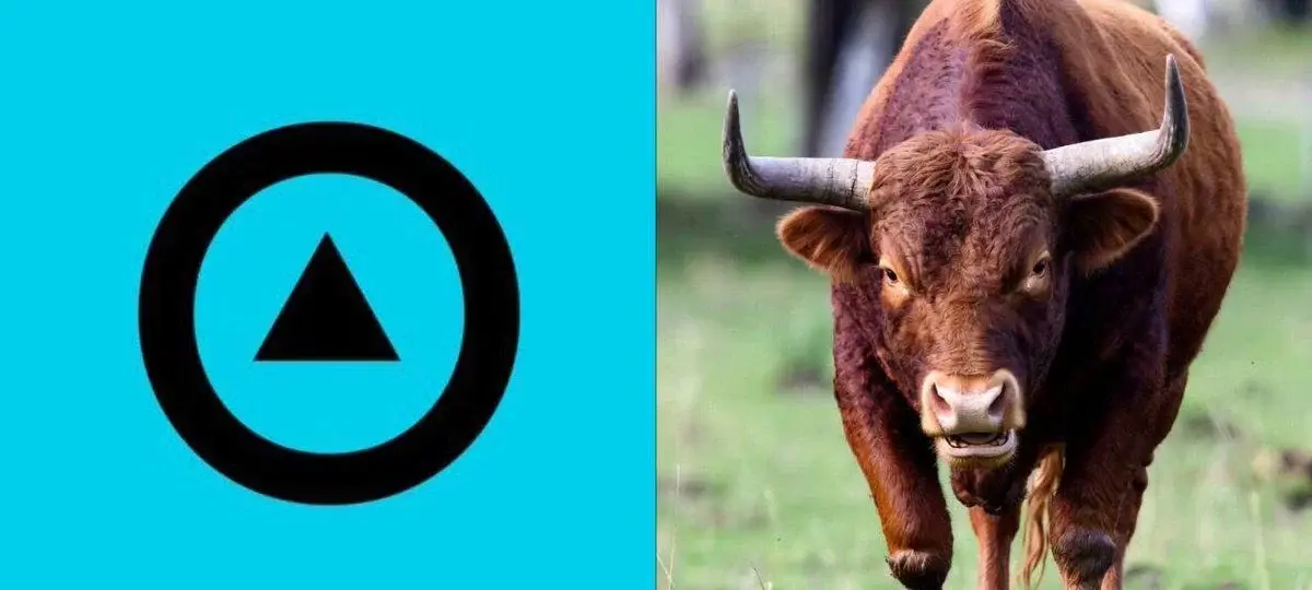 Zerobase Up 33% As Privacy Narrative Heats Up