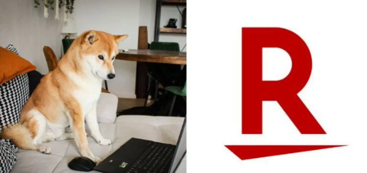 Rakuten Wallet will pay Doge or Shiba for pictures of your dog
