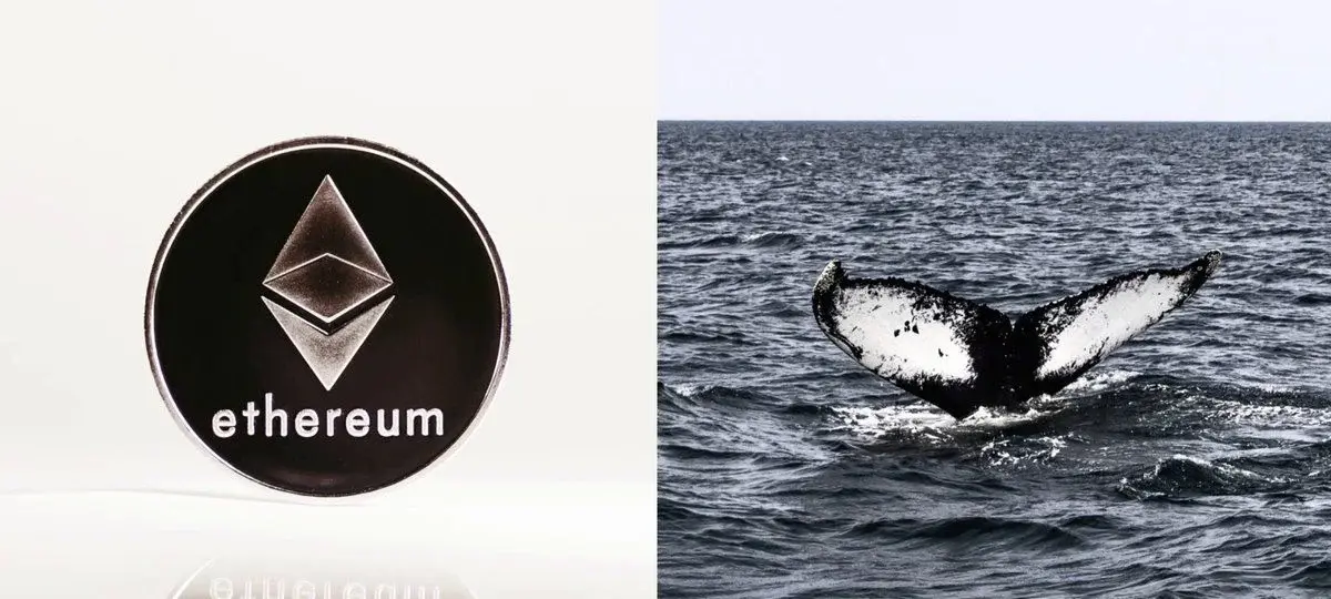Mystery Whale Bets Big On Ethereum Dip