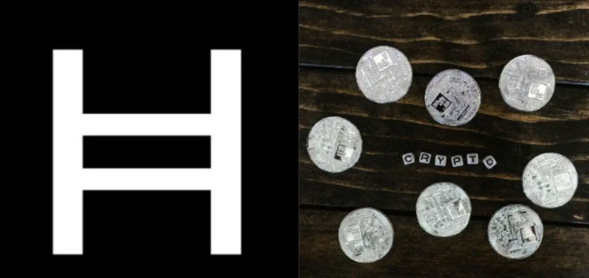 Hedera policy chief says governance decides whether tokenization delivers