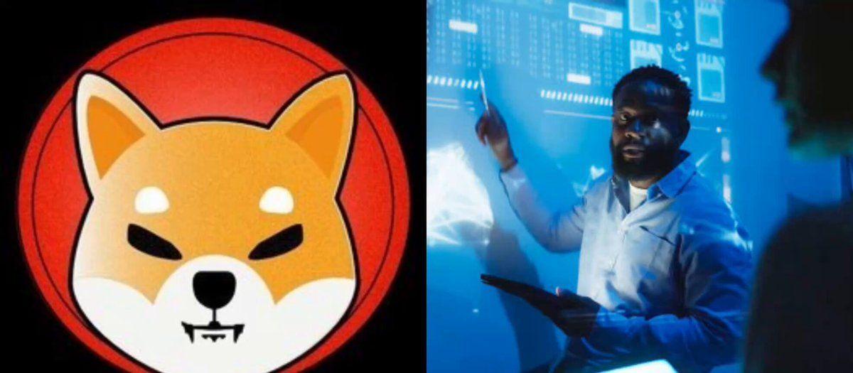 SHIB's market cap doesn't tell the whole story