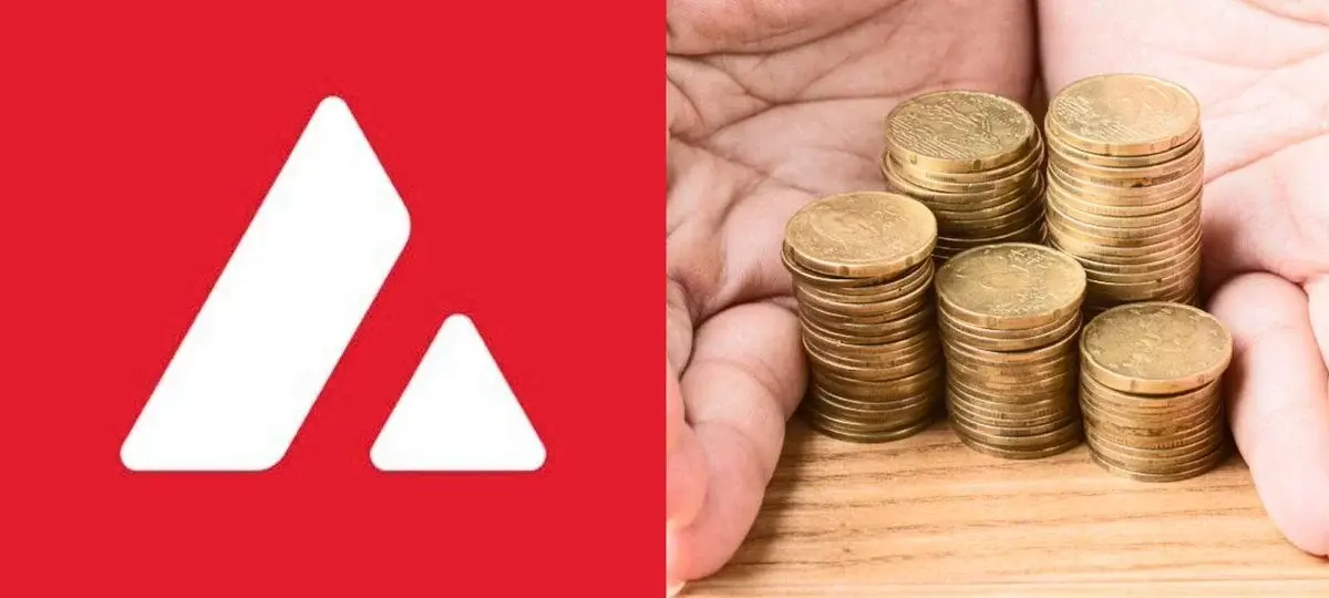 Avalanche Treasury Just Hit A Major Roadblock