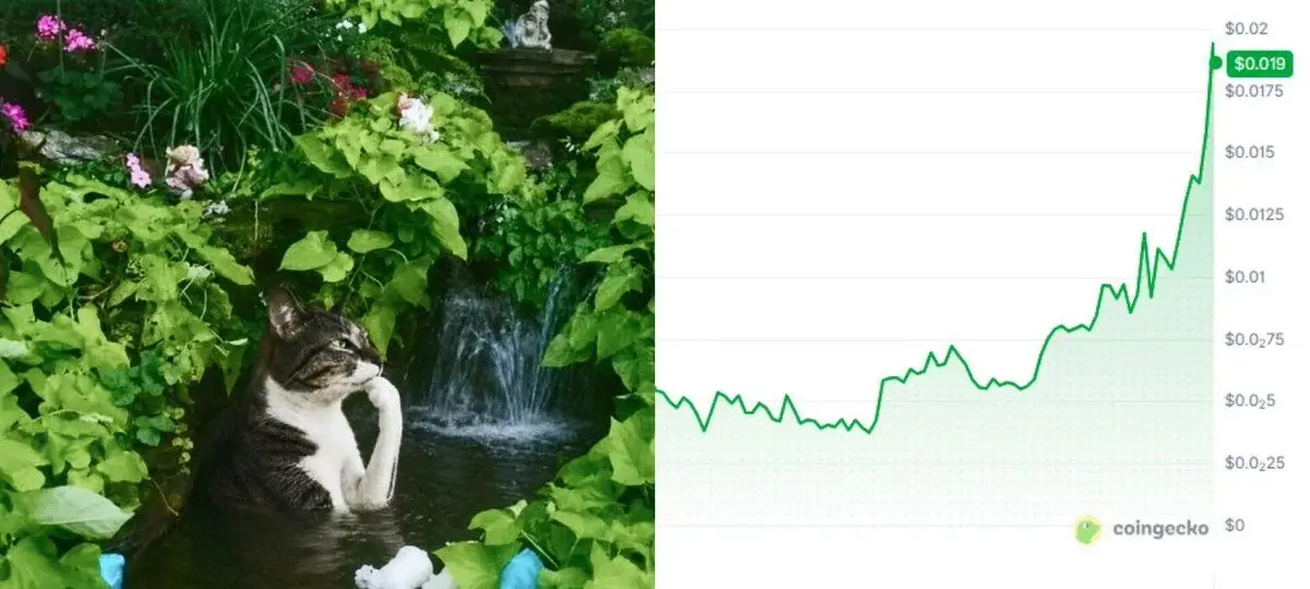 Is Thinking Cat the Next Robinhood Chain Memecoin to Watch?