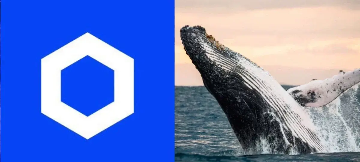 Chainlink Whale Activity Hits Five Month High As Balances Grow