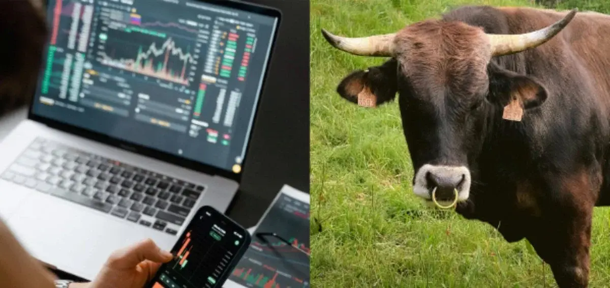 Alts are quietly stacking double-digit weeks while Bitcoin chops