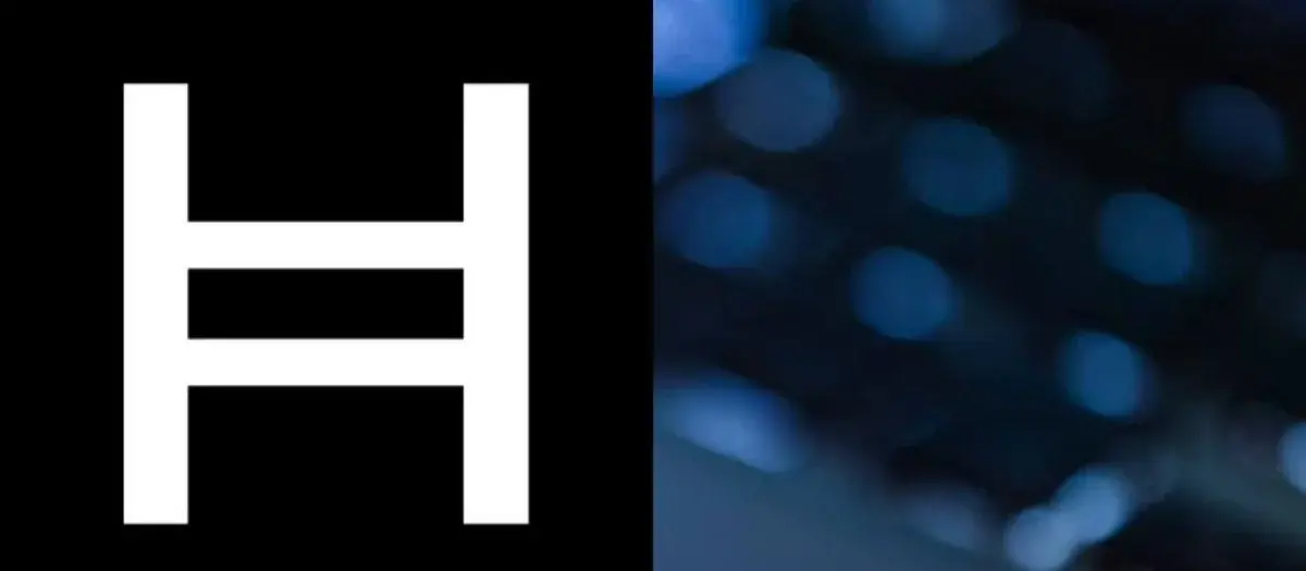 Hedera Network Activity is off the roof!