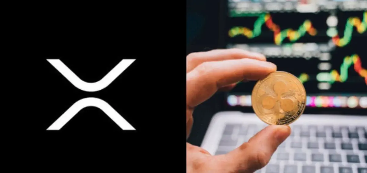 XRPL weekly DEX volume climbs 45% as daily transactions approach 3 million