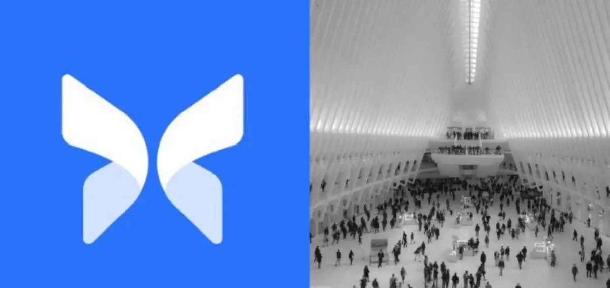 Morpho records its largest single-day exchange outflow since spot trading began