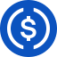 USDC logo