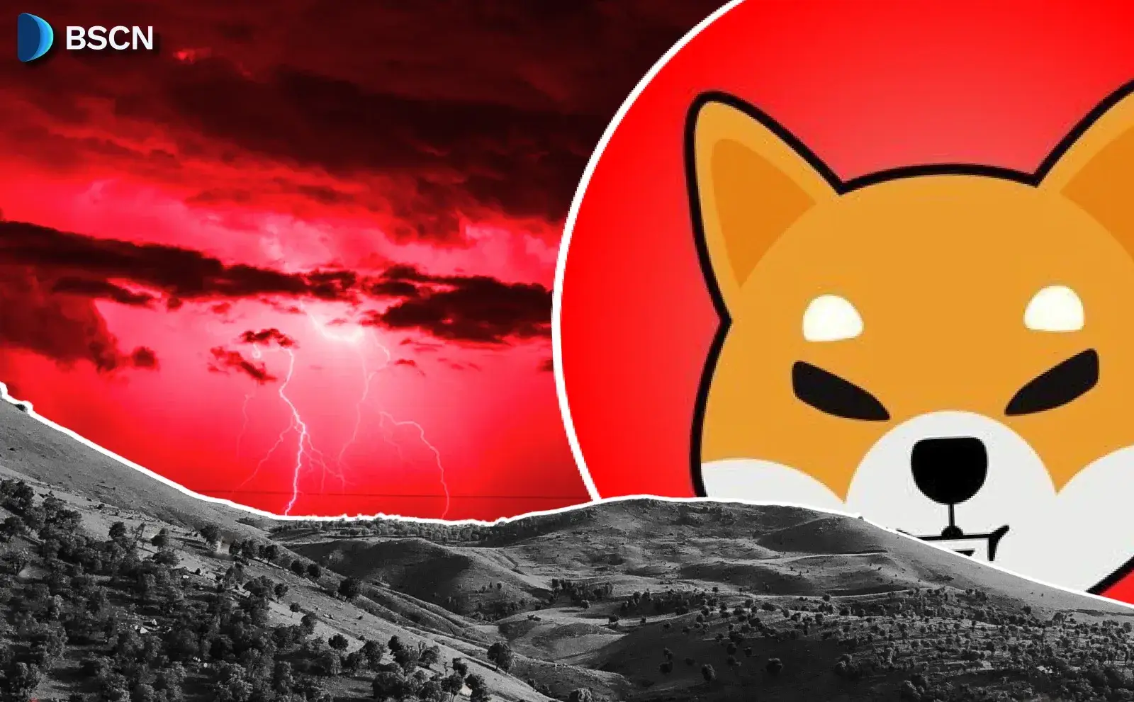SHIB's Six Year Anniversary: The Journey So Far