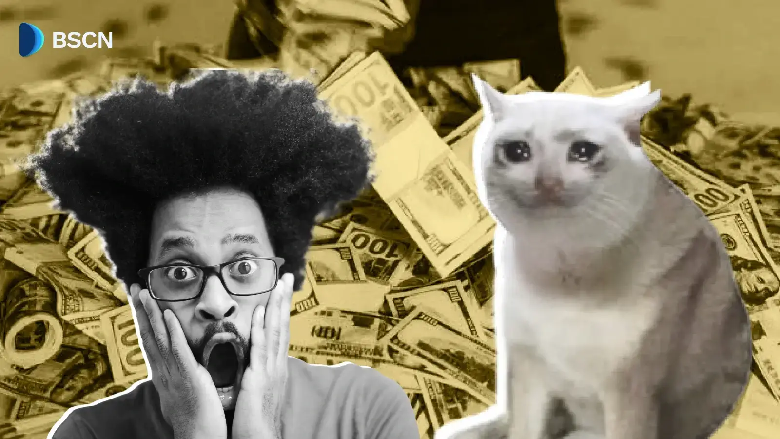 What Is Cash Cat Memecoin?