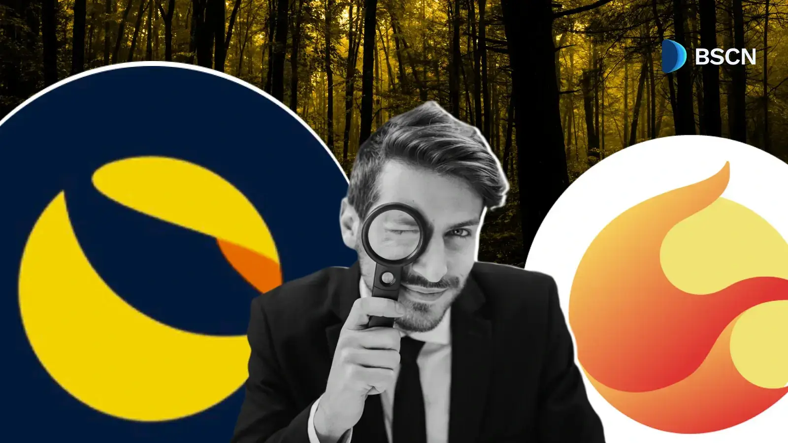 LUNC vs LUNA: How the Two Chains Split and What Each Is Doing Now
